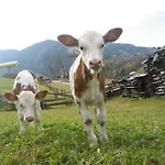 Πανσιόν Spreitzhof & Royer Schladming