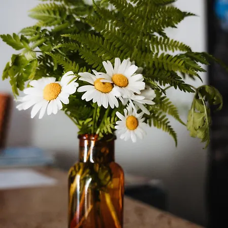 Spreitzhof & Royer 3* 슈라드밍