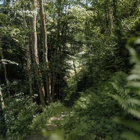 Spreitzhof & Royer Schladming