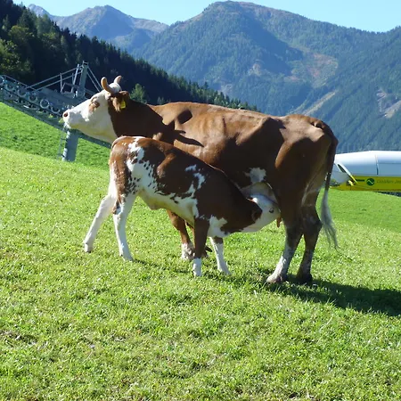 Spreitzhof & Royer Schladming