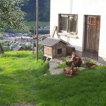 Konukevi Spreitzhof & Royer *