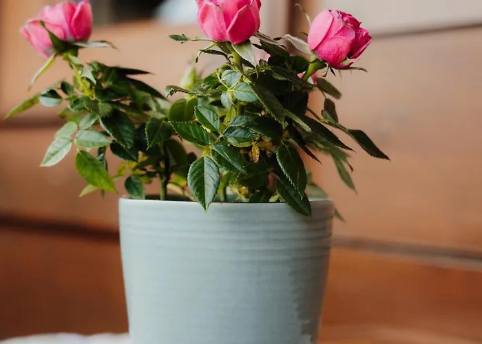 Spreitzhof & Royer Шладминг