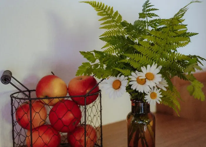 Pension Spreitzhof & Appartement Royer Guest house 3*