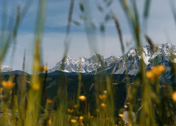Spreitzhof&appartement Royer