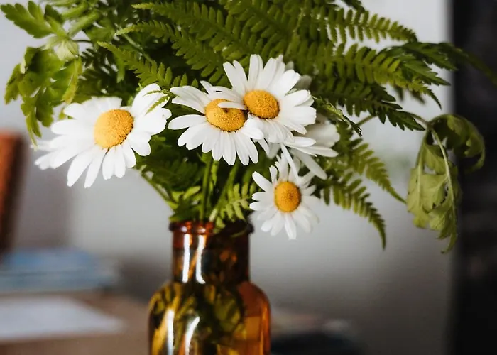 Pension Spreitzhof & Appartement Royer 3* Schladming