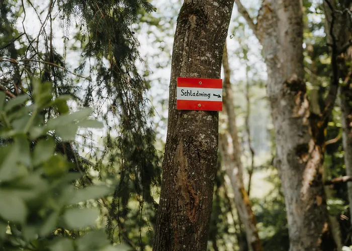 Spreitzhof & Royer Гостевой дом