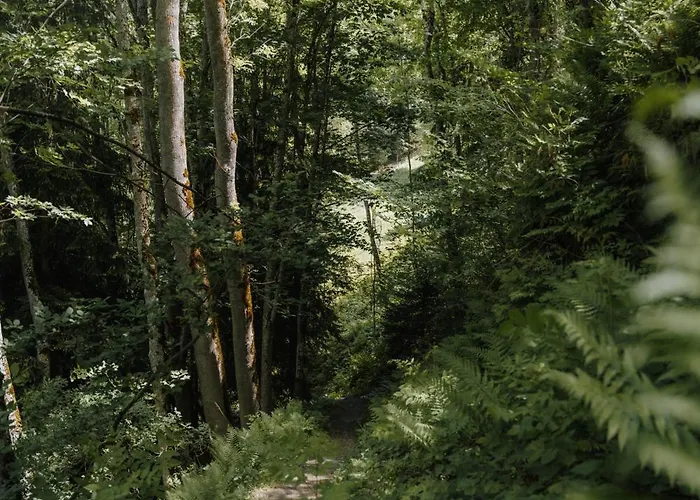 Pension Spreitzhof & Appartement Royer Schladming