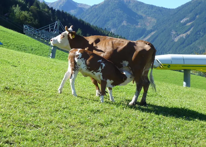 Spreitzhof & Royer Шладминг