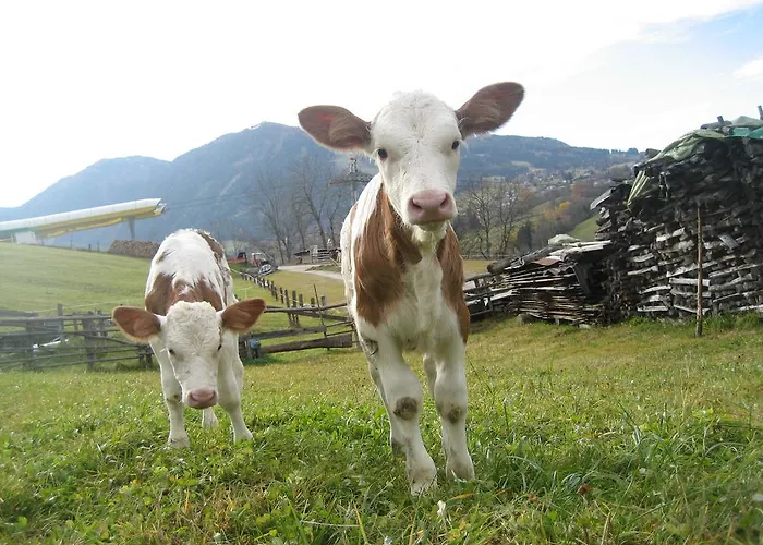 Gasthof Spreitzhof&appartement Royer Schladming