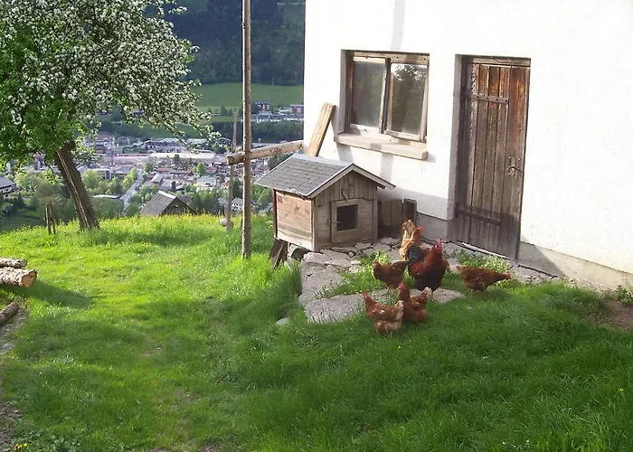 Гостевой дом Spreitzhof & Royer 3*